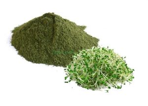 alfalfa-powder