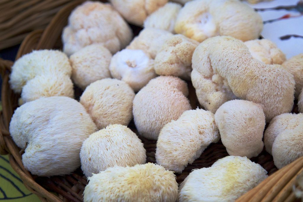 lions-mane-mushrooms