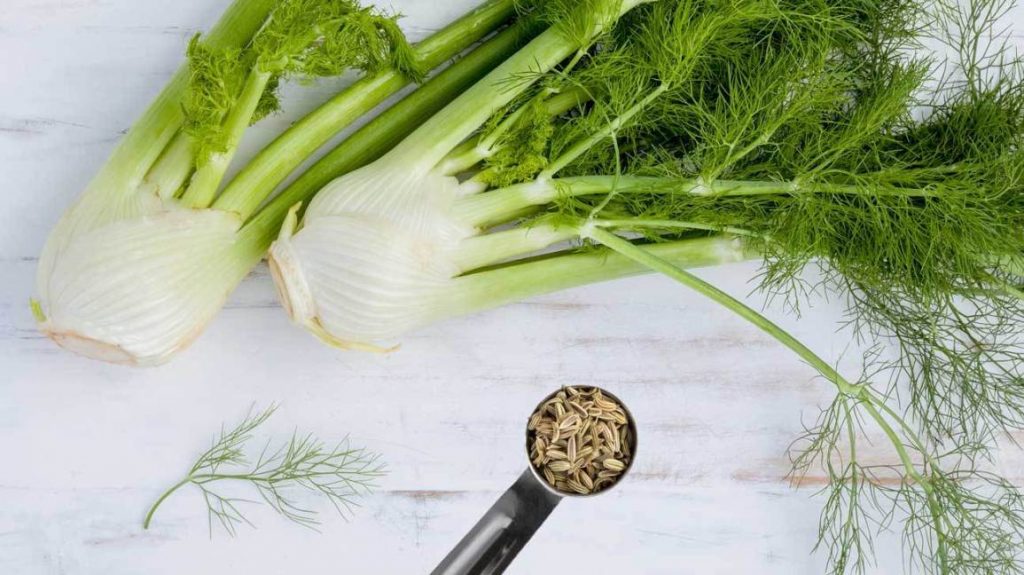 health-benefits-of-fennel-seed