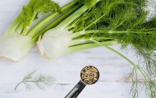 health-benefits-of-fennel-seed