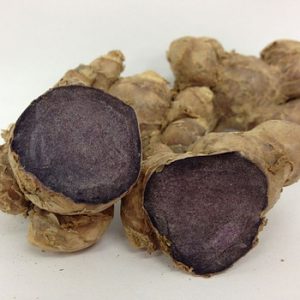 Black Ginger Extract