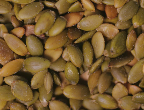 Pumpkin Seed Protein: Your New Health Ally