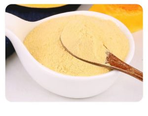 Butternut Squash Flour